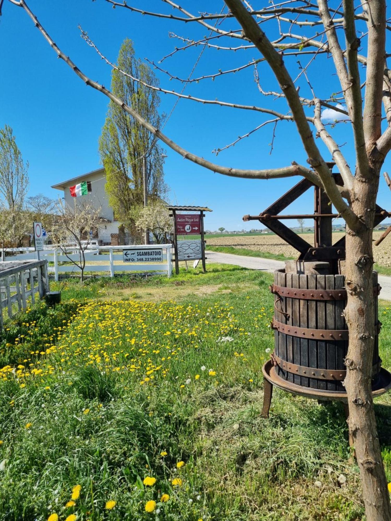 Bed and Breakfast Antico Pioppo Sale Екстер'єр фото
