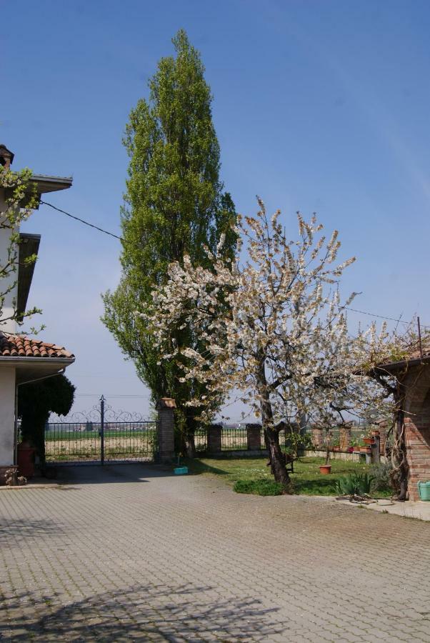 Bed and Breakfast Antico Pioppo Sale Екстер'єр фото